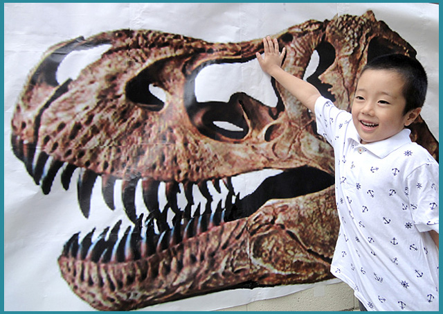 史上最大の肉食恐竜「ティラノサウルス・レックス」の原寸大のプリントを前にした友人のお孫さんである長見（たける）君。（写真･山根一眞）福井県立恐竜博物館にはアメリカ・サウスダコタ州産で骨格全長11.3mの標本が展示されている。